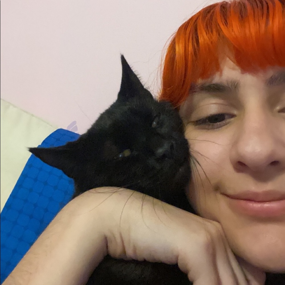 Meet your Posher, Nikita